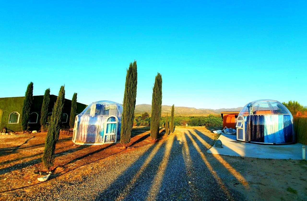 Stargazing Retreats Homestay Camp Verde Dış mekan fotoğraf